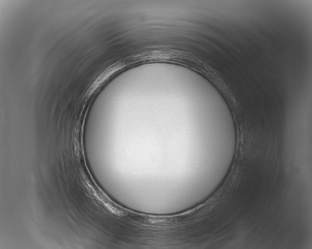 X0000086060794200703230946