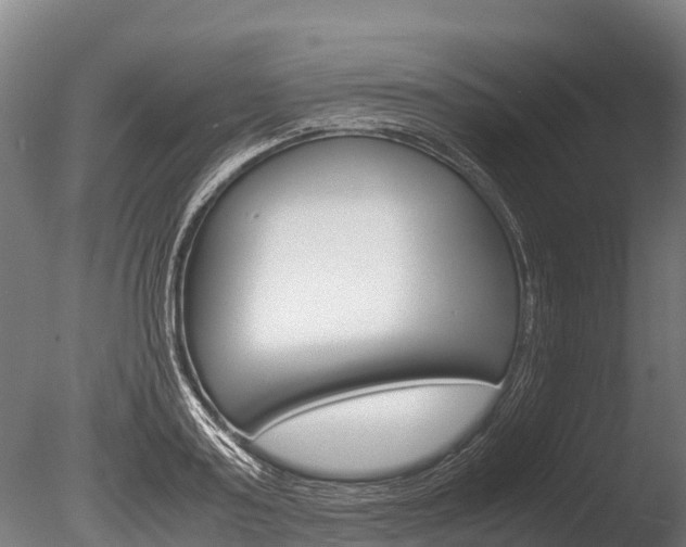 X0000086060795200703230946