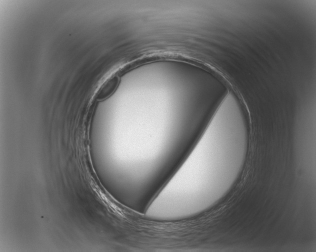 X0000086060799200703230945