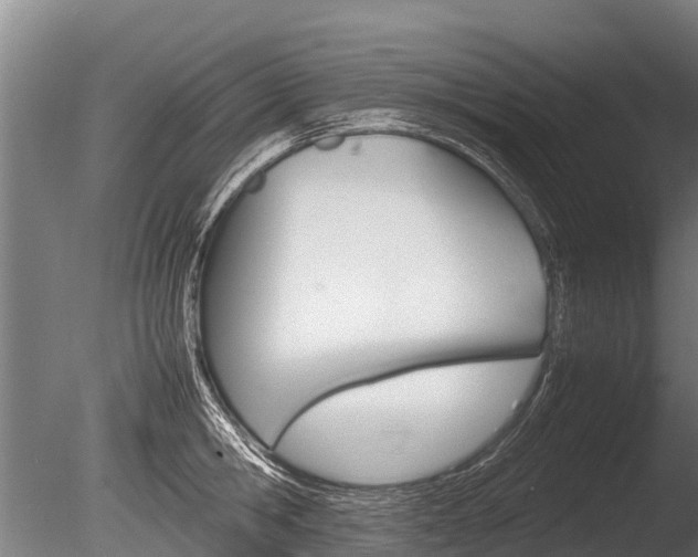 X0000086060806200703230945