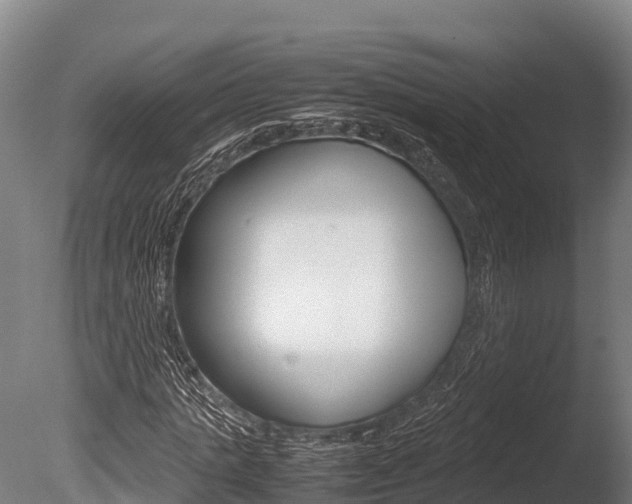 X0000086060821200703230944