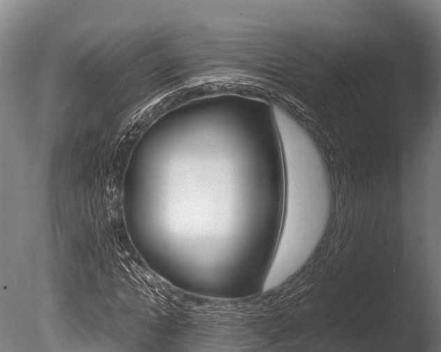 X0000086060822200703230944