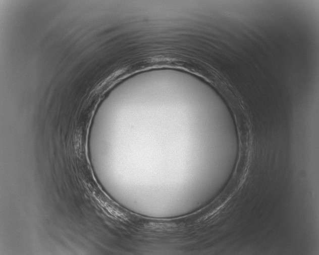 X0000086060825200703230944