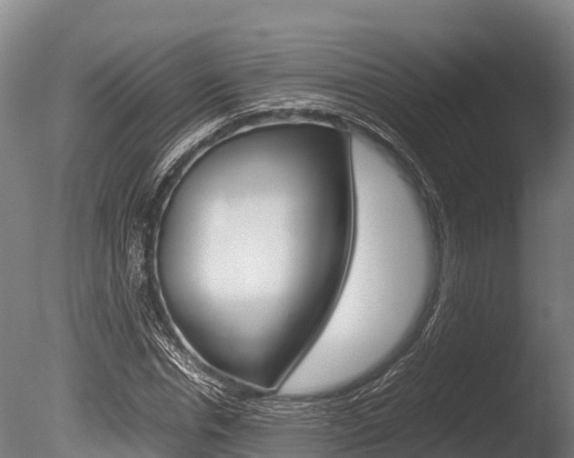 X0000086060826200703230945