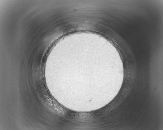 X0000086060832200703230945