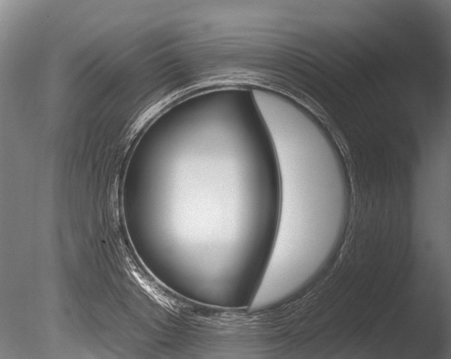 X0000086060842200703230945