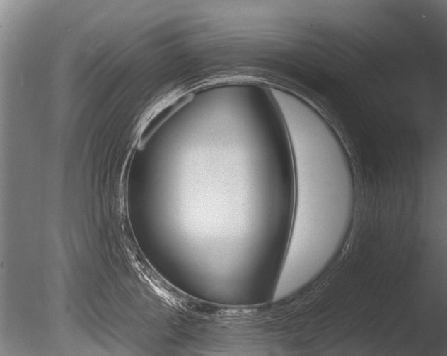 X0000086060858200703230945