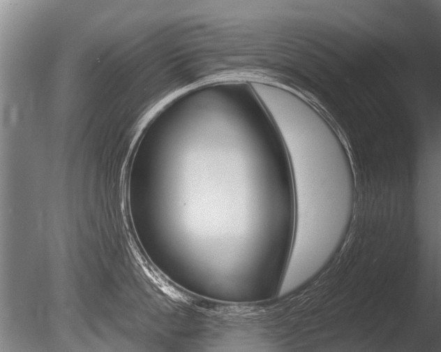X0000086060862200703230945