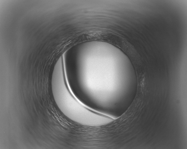 X0000086060868200703230944