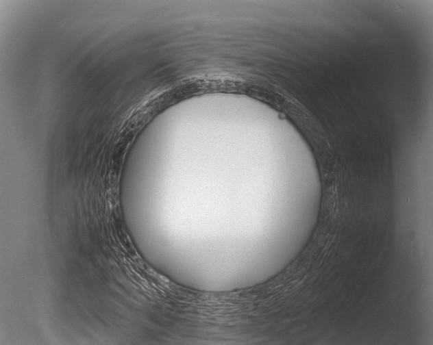X0000086060870200703230944