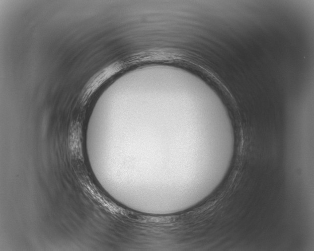 X0000086060874200703230944