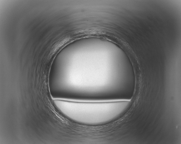 X0000086060881200703230944
