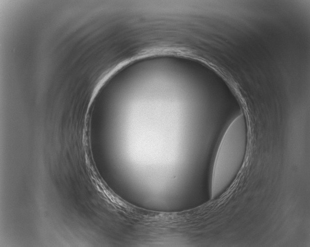X0000086060912200703230944