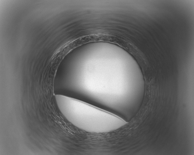 X0000086060919200703230943