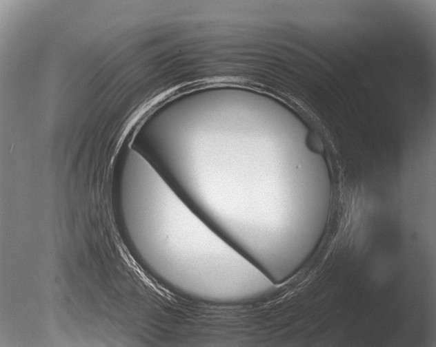 X0000086060933200703230943