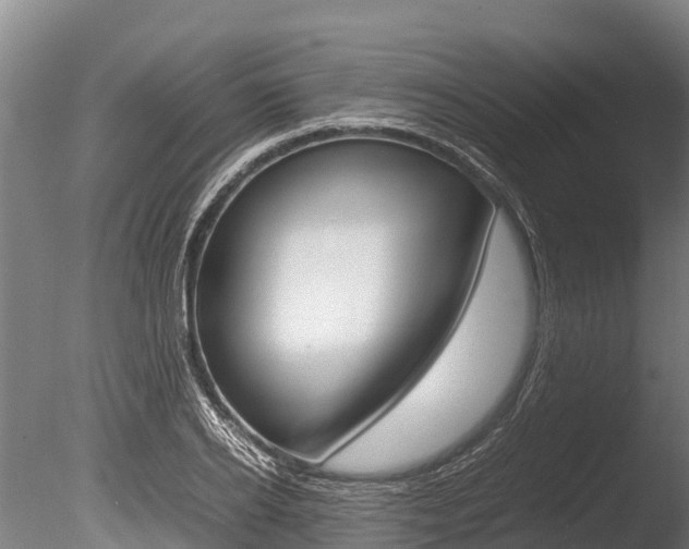 X0000086060934200703230943
