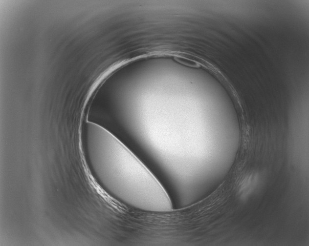 X0000086060955200703230943