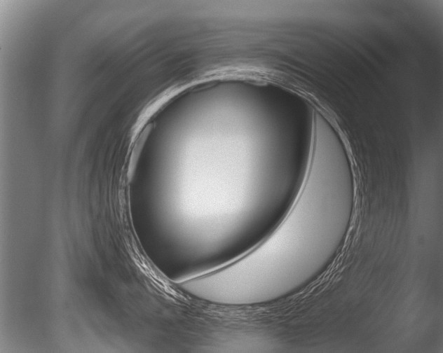 X0000086060960200703230944