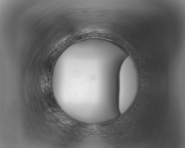X0000086060966200703230943