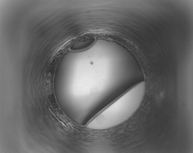X0000086060968200703230943