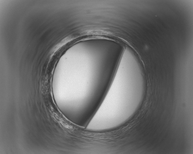 X0000086060971200703230943