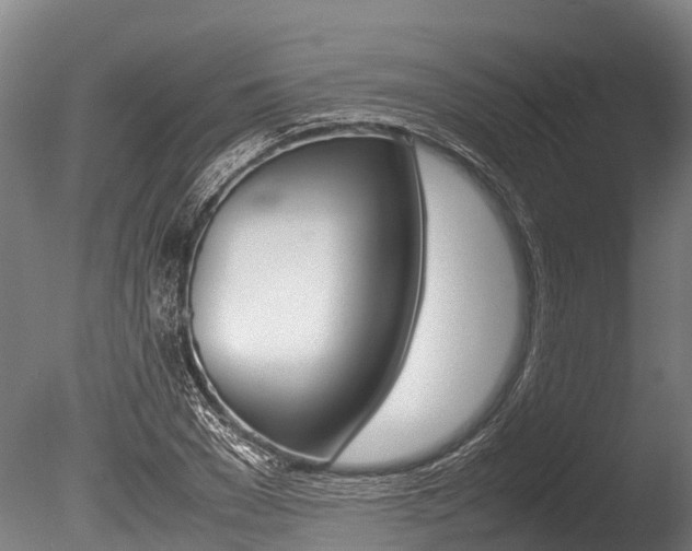 X0000086060977200703230942