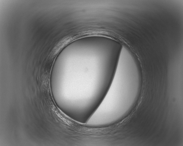 X0000086060985200703230942