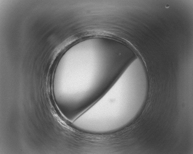 X0000086060987200703230942