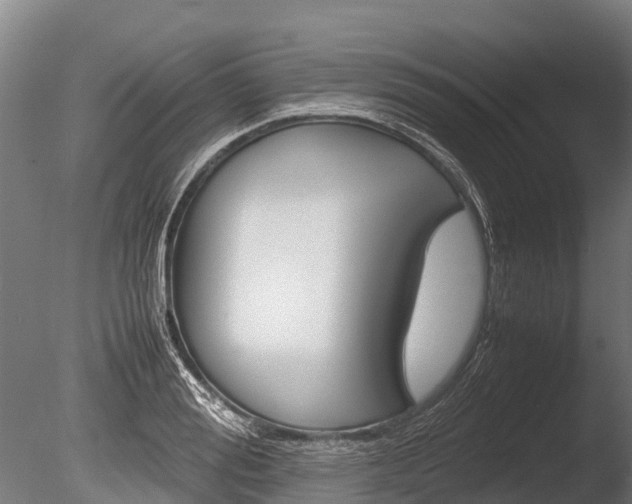 X0000086060988200703230942