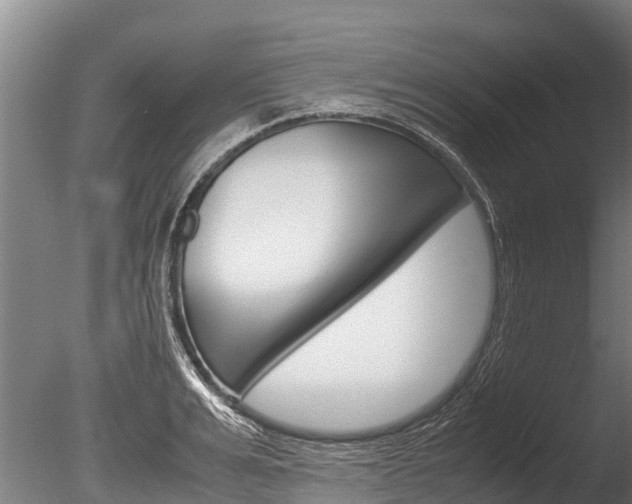 X0000086060991200703230942