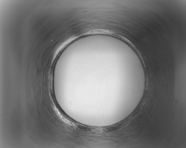 X0000086061003200703230942