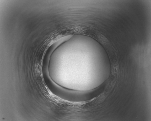 X0000086061010200703230941