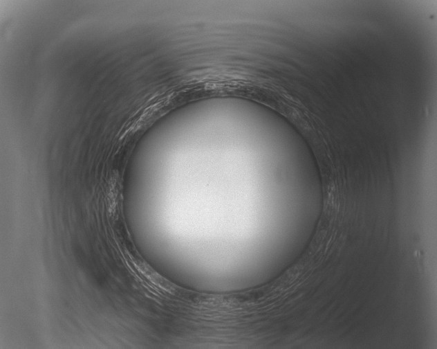 X0000086061012200703230941