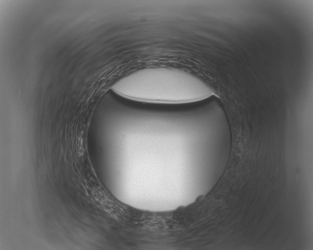 X0000086061013200703230941