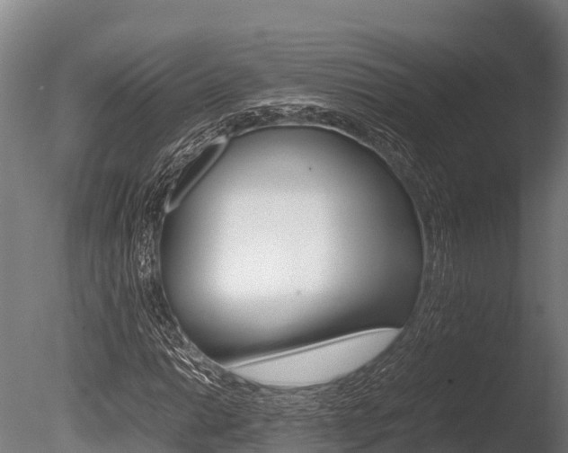 X0000086061014200703230941