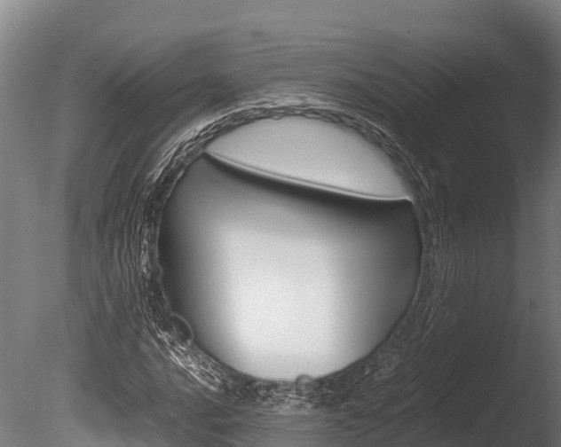 X0000086061016200703230941