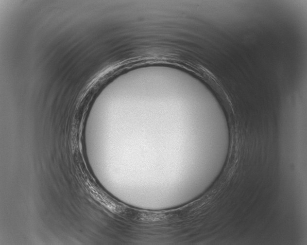 X0000086061019200703230941