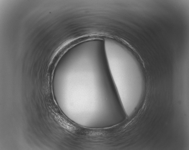 X0000086061021200703230941