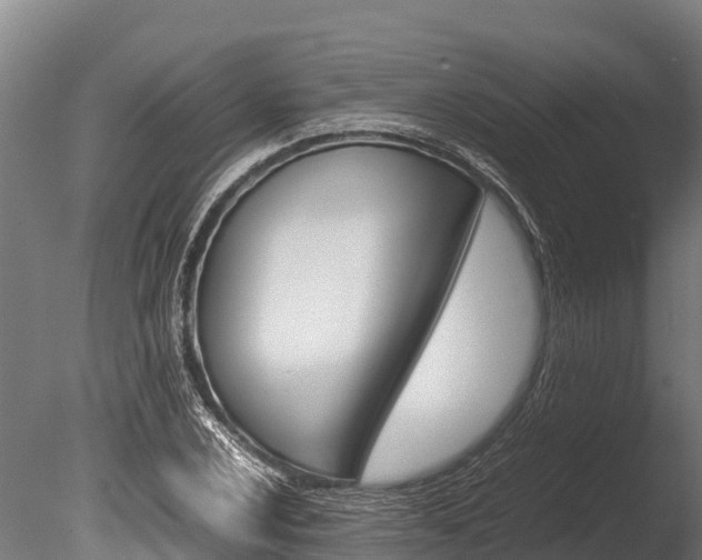 X0000086061024200703230941