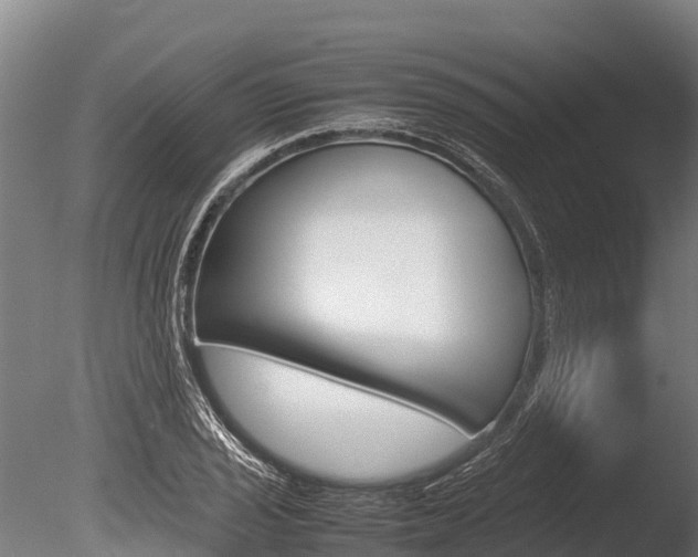 X0000086061029200703230941