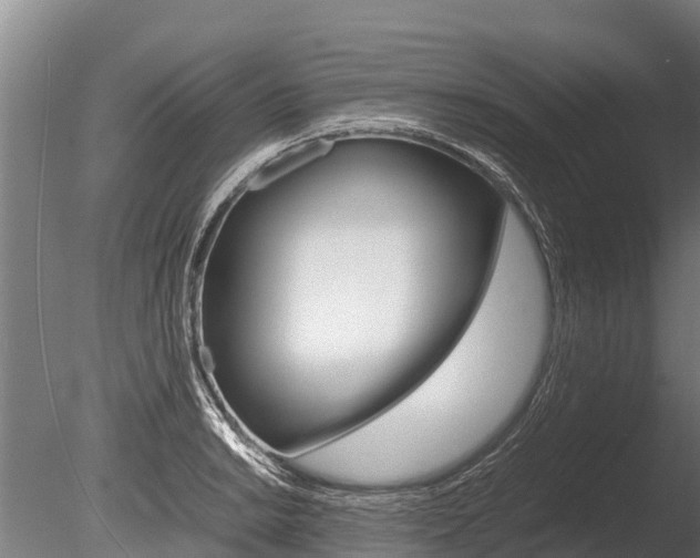 X0000086061038200703230942