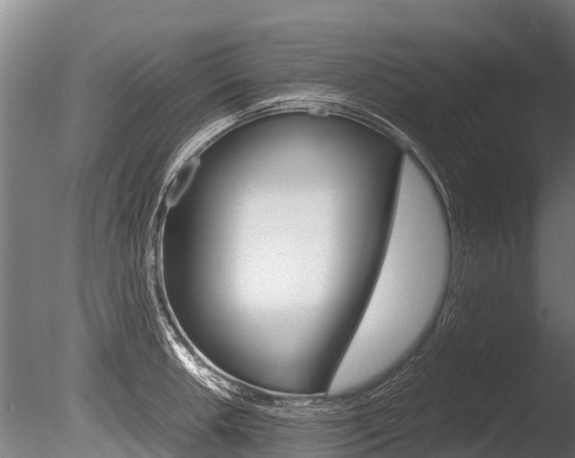 X0000086061042200703230942