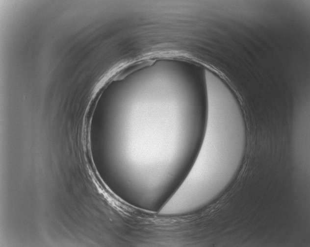 X0000086061046200703230942