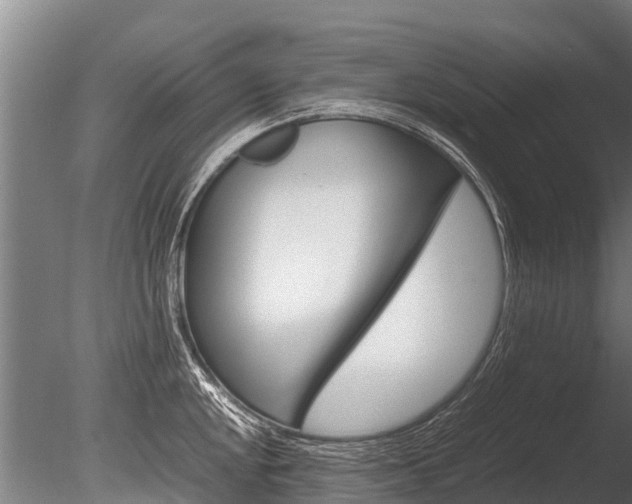 X0000086061048200703230942