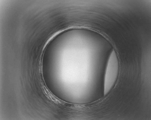 X0000086061052200703230942