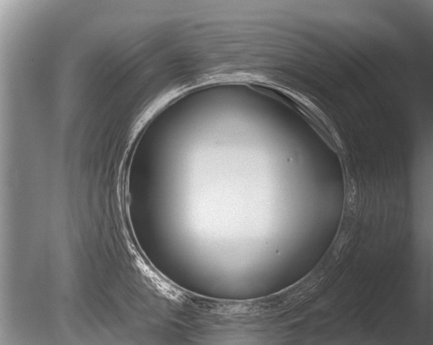 X0000086061054200703230942