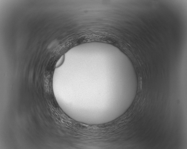 X0000086061059200703230941