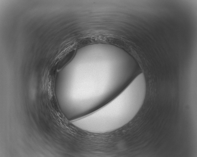 X0000086061060200703230941