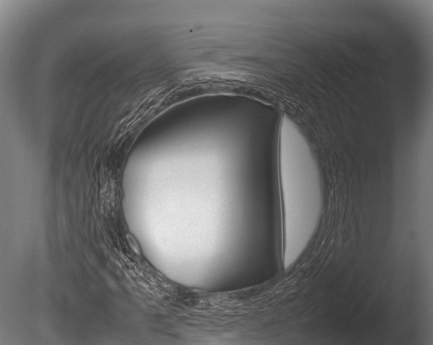 X0000086061061200703230941