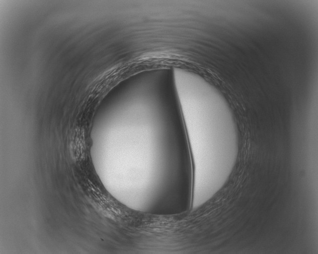 X0000086061062200703230941